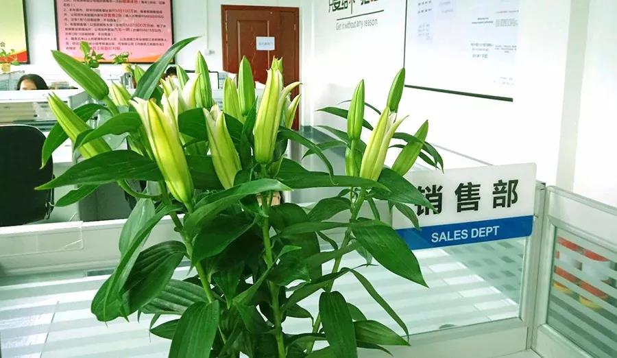 濃情七夕，最美祝福！